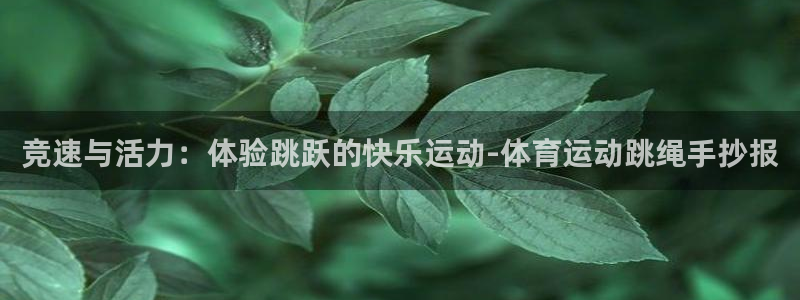 德国杏悦集团：竞速与活力：体验跳跃的快乐运动-体育运动跳绳手抄报