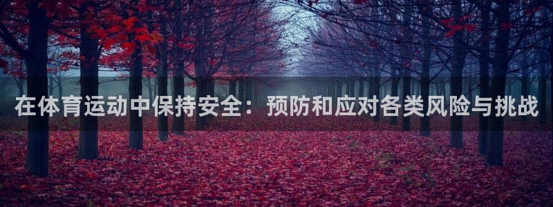 杏悦体育官网登录：在体育运动中保持安全：预防和应对各类风险与挑战