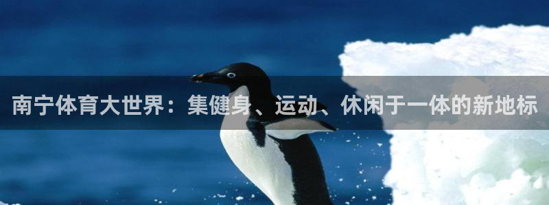 杏悦体育平台总代理：南宁体育大世界：集健身、运动、休闲于一体的新地标