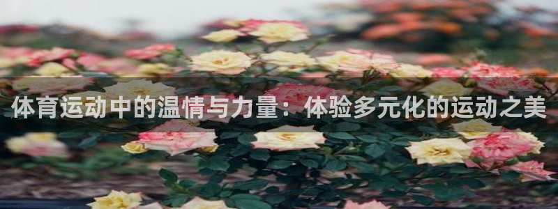 杏悦主管：体育运动中的温情与力量：体验多元化的运动之美