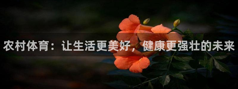 杏悦体育平台总代理：农村体育：让生活更美好，健康更强壮的未来