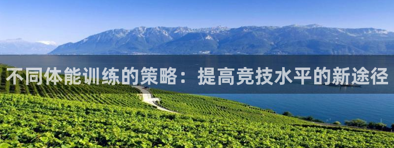 杏悦体育论坛：不同体能训练的策略：提高竞技水平的新途径