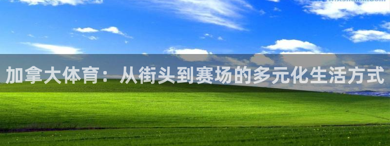 杏悦4：加拿大体育：从街头到赛场的多元化生活方式