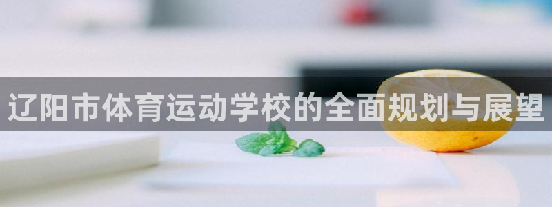杏悦娱乐2登录注册：辽阳市体育运动学校的全面规划与展望