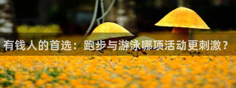 杏悦体育4：有钱人的首选：跑步与游泳哪项活动更刺激？
