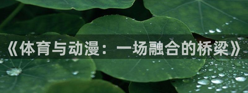 杏悦2注册：《体育与动漫：一场融合的桥梁》