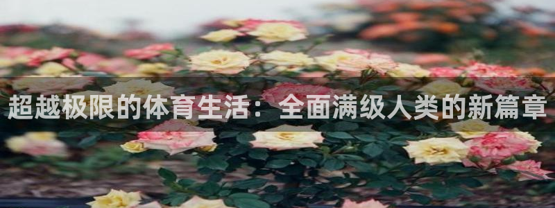 杏悦体育凯捷代理注册：超越极限的体育生活：全面满级人类的新篇章