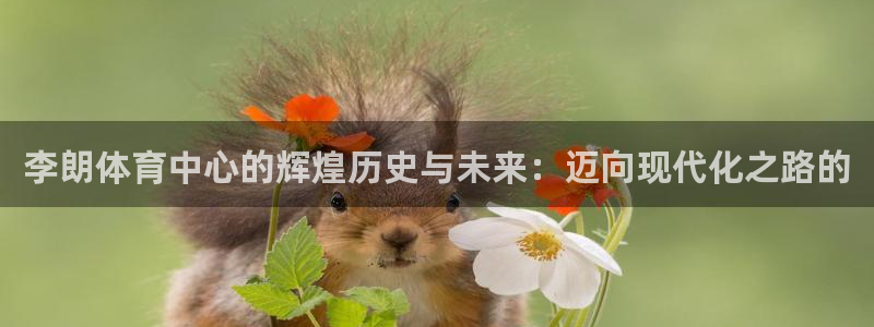 杏悦3官网：李朗体育中心的辉煌历史与未来：迈向现代化之路的