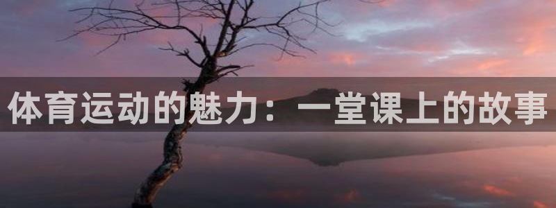 杏悦体育凯捷平台注册：体育运动的魅力：一堂课上的故事
