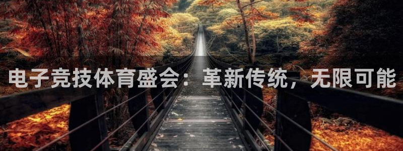 杏悦体育和杏耀是哪个公司的：电子竞技体育盛会：革新传统，无限可能